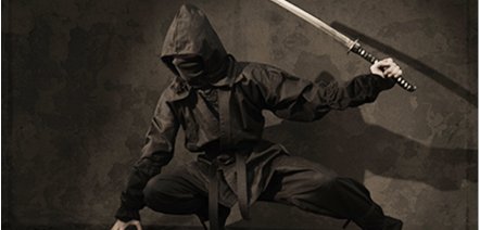  Ninjitsu - Die Kampfkunst der Ninja...